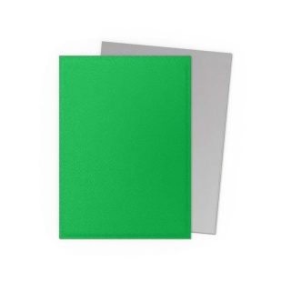 Koszulki na karty Dragon Shield - Apple Green & Silver 100 Matte Dual