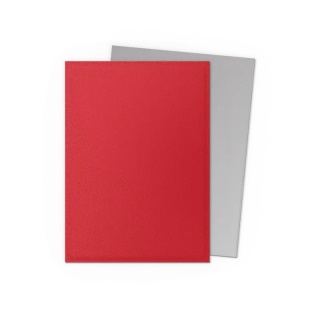 Koszulki na karty Dragon Shield - Crimson & Silver 100 Matte Dual