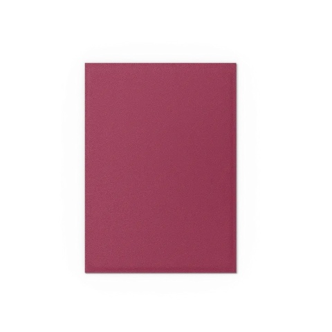 Koszulki na karty Dragon Shield - Pomegranate & Gold 100 Matte Dual