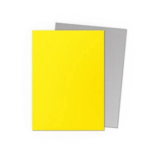 Koszulki na karty Dragon Shield - Yellow & Silver 100 Matte Dual